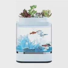 Аква-ферма Descriptive geometry mini lazy fish tank 203*254 mm, HF-JHYG005