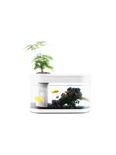 Аква-ферма Xiaomi Descriptive Geometry C180 Smart Fish Tank