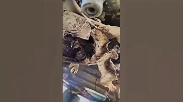Toyota aqua front hit airbag open