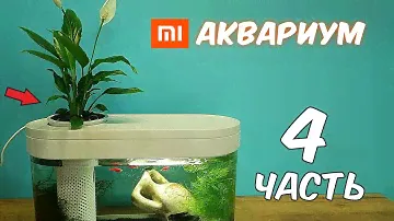 Аквариум XIAOMI. Часть 4. Посадил Цветок. Реакция Муравьев на корм для рыбок.
