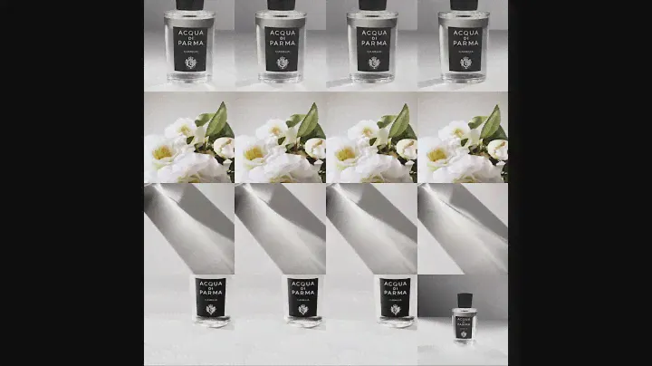 ACQUA DI PARMA Signatures of The Sun Camelia -  Paco Perfumerías