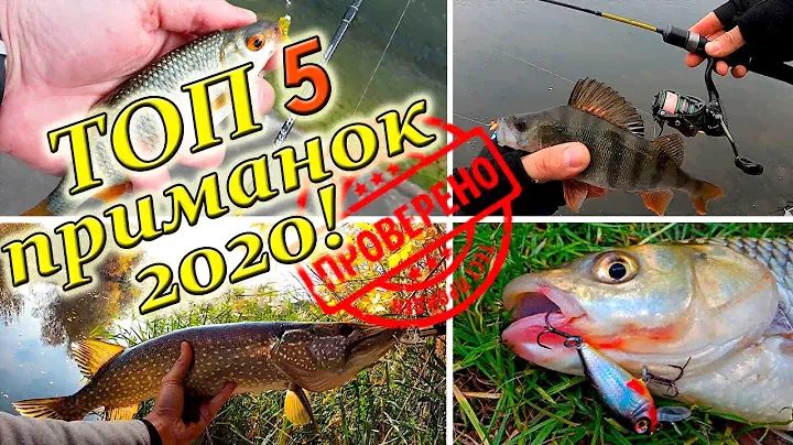 ТОП 5 приманок для ловли щуки, окуня, судака, голавля и мирной рыбы!!!